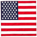100% Cotton Bandana 21 Inches 36 Pack L8779