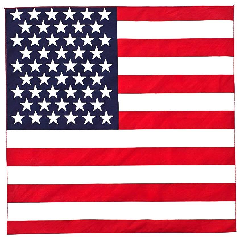 100% Cotton Bandana 21 Inches 36 Pack L8779