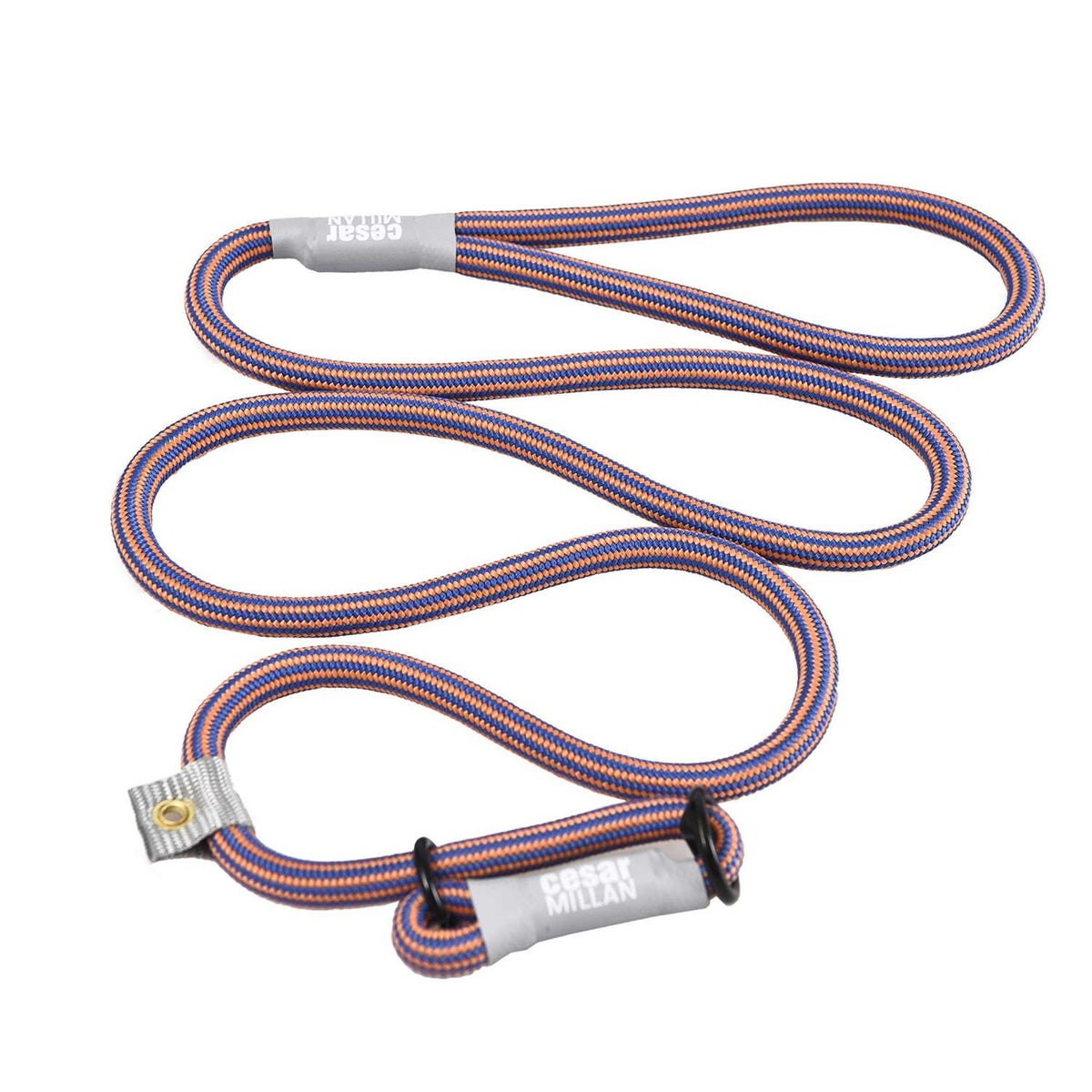 Slip Lead Leash 2-in-1 Dog Training Lead & Collar P238851