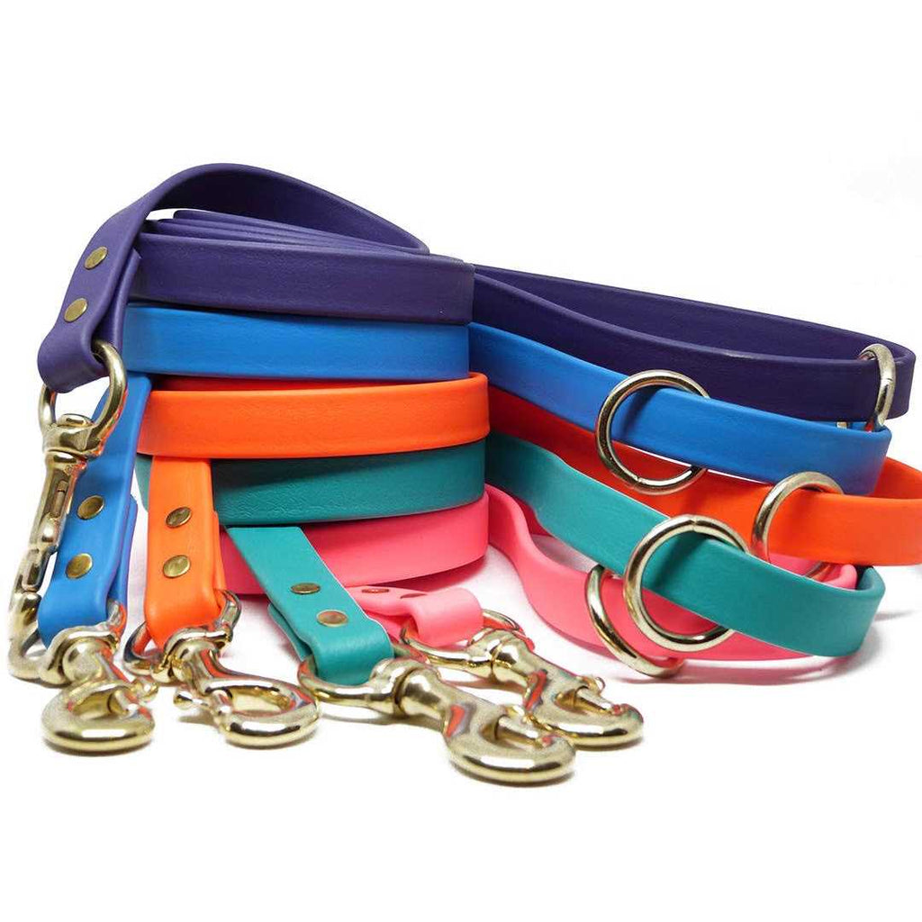 Dog Leash C449
