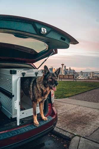 Gray 40" Collapsible Aluminum Dog Crate L61922