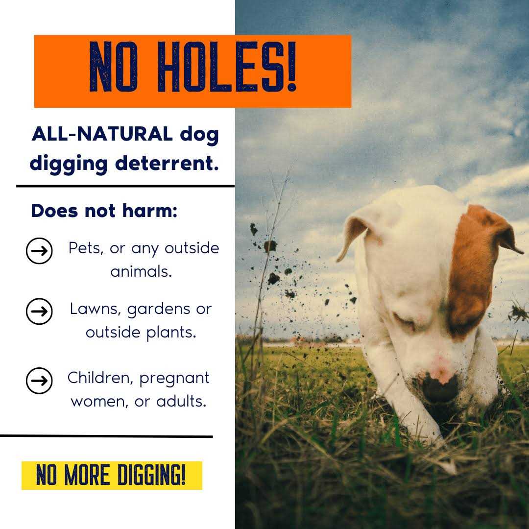Digging Dog Prevention Spray B33623