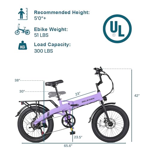 20"×3.0 Fat Tire Folding Electric Bike with 374.4Wh Battery C2391