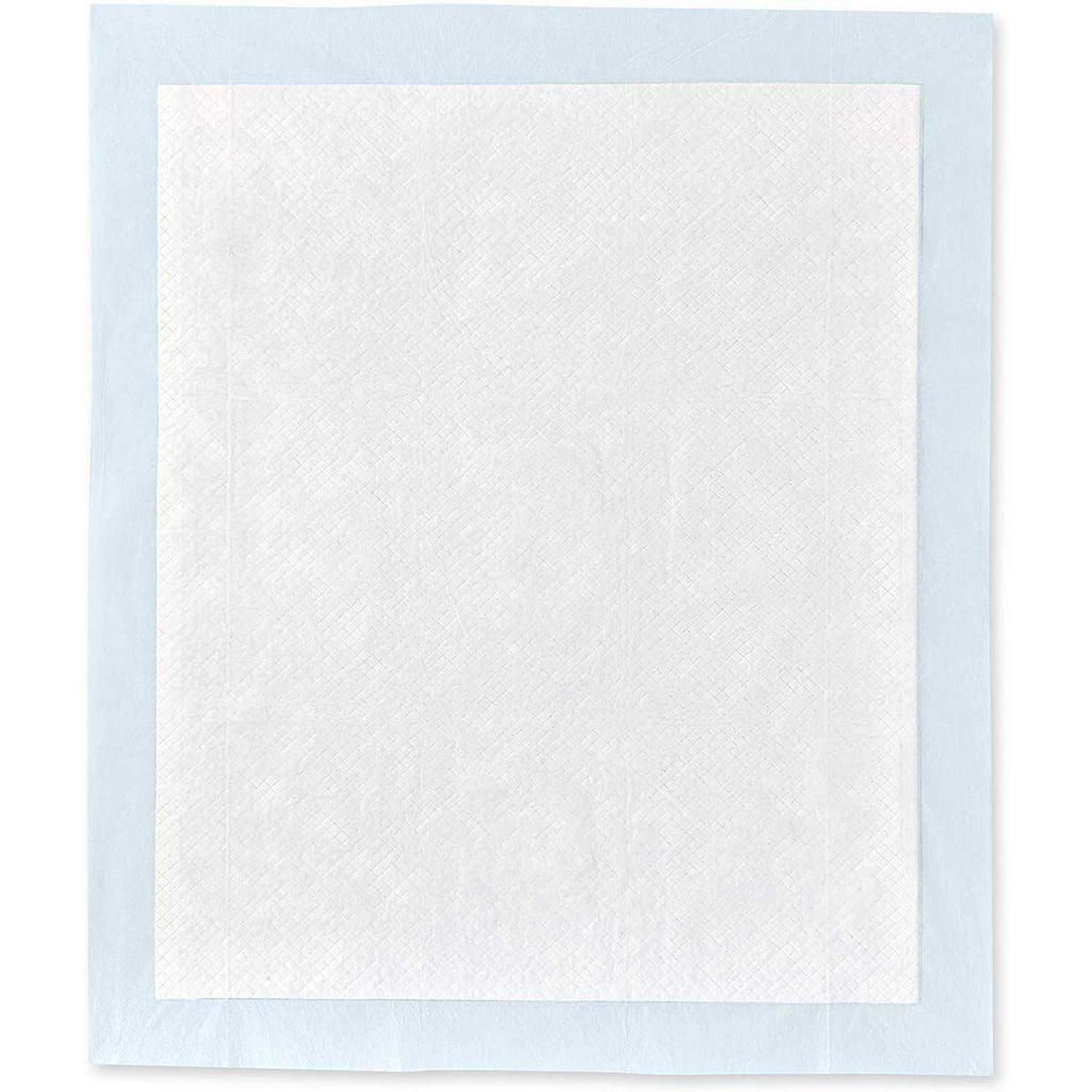 Dog and Puppy Pee Pads with Leak-Proof Quick-Dry Surface C21119