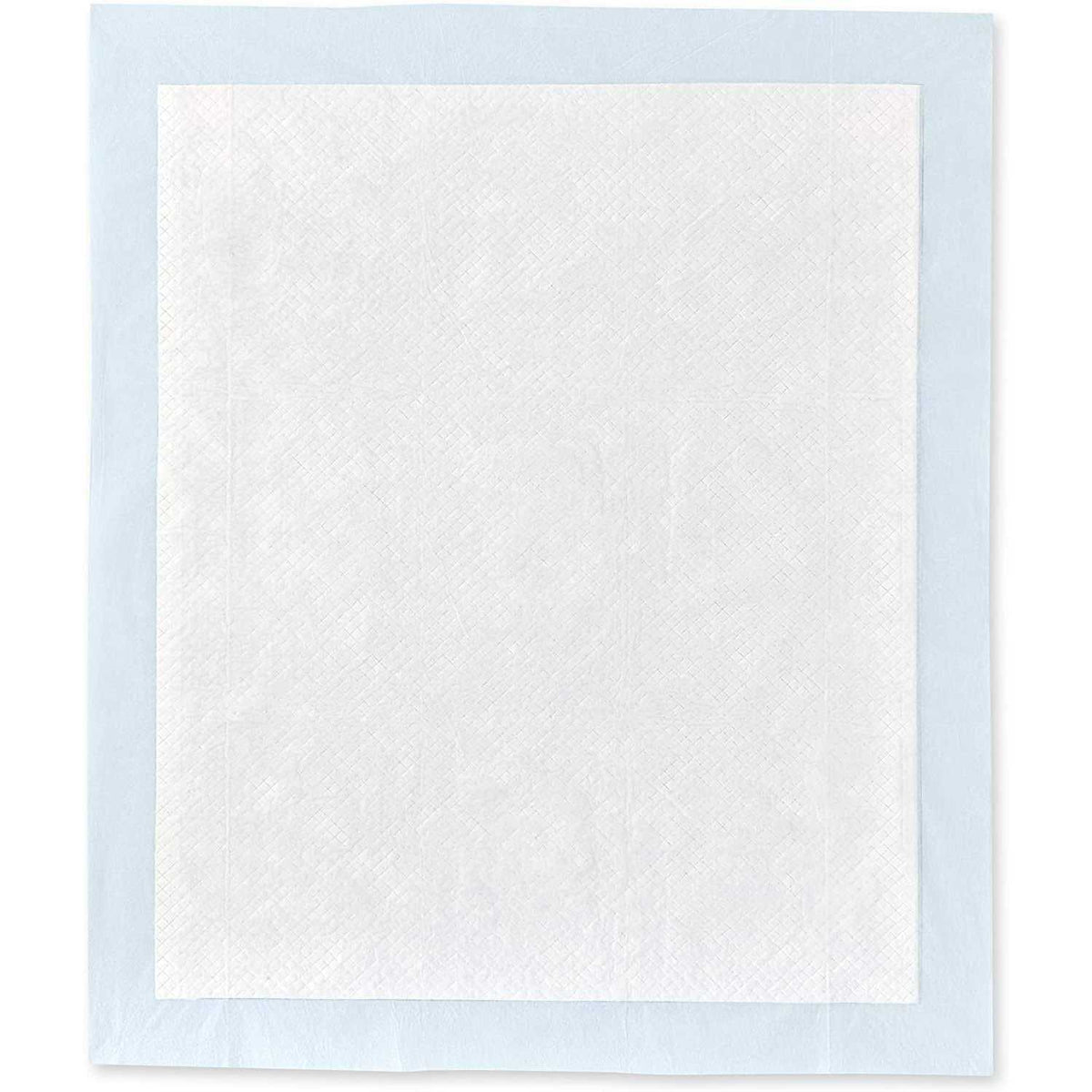 Dog and Puppy Pee Pads with Leak-Proof Quick-Dry Surface C21119
