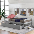 Twin Size Platform Bed with Two Drawers Gray S538372