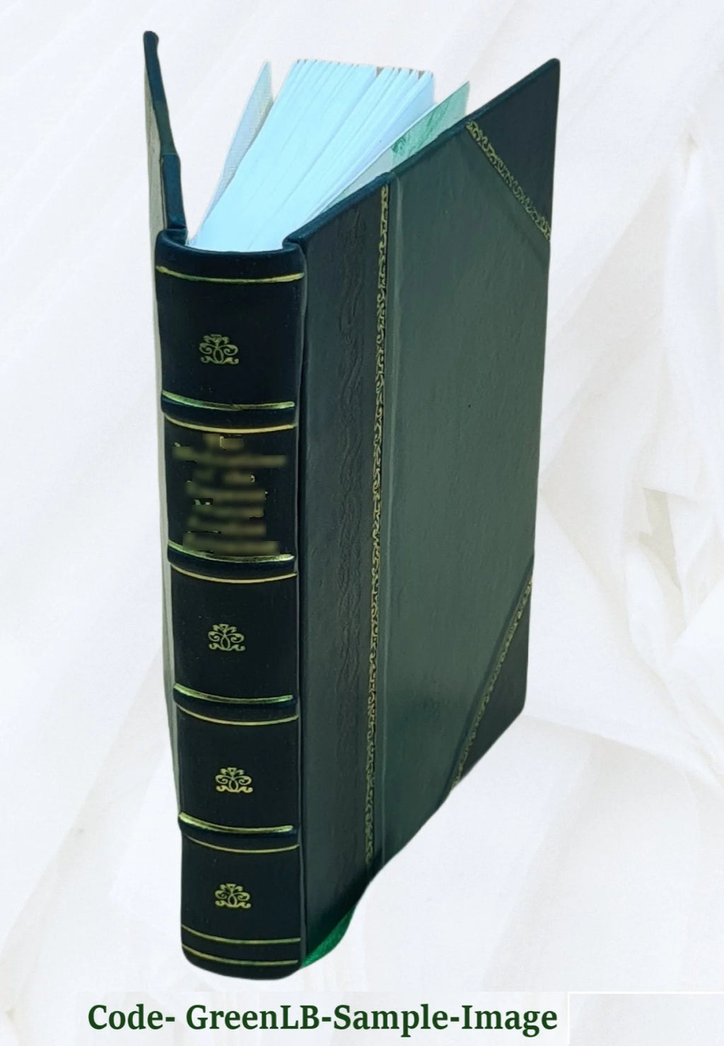 Recollections of a Diplomat 1918 Leather Bound B739