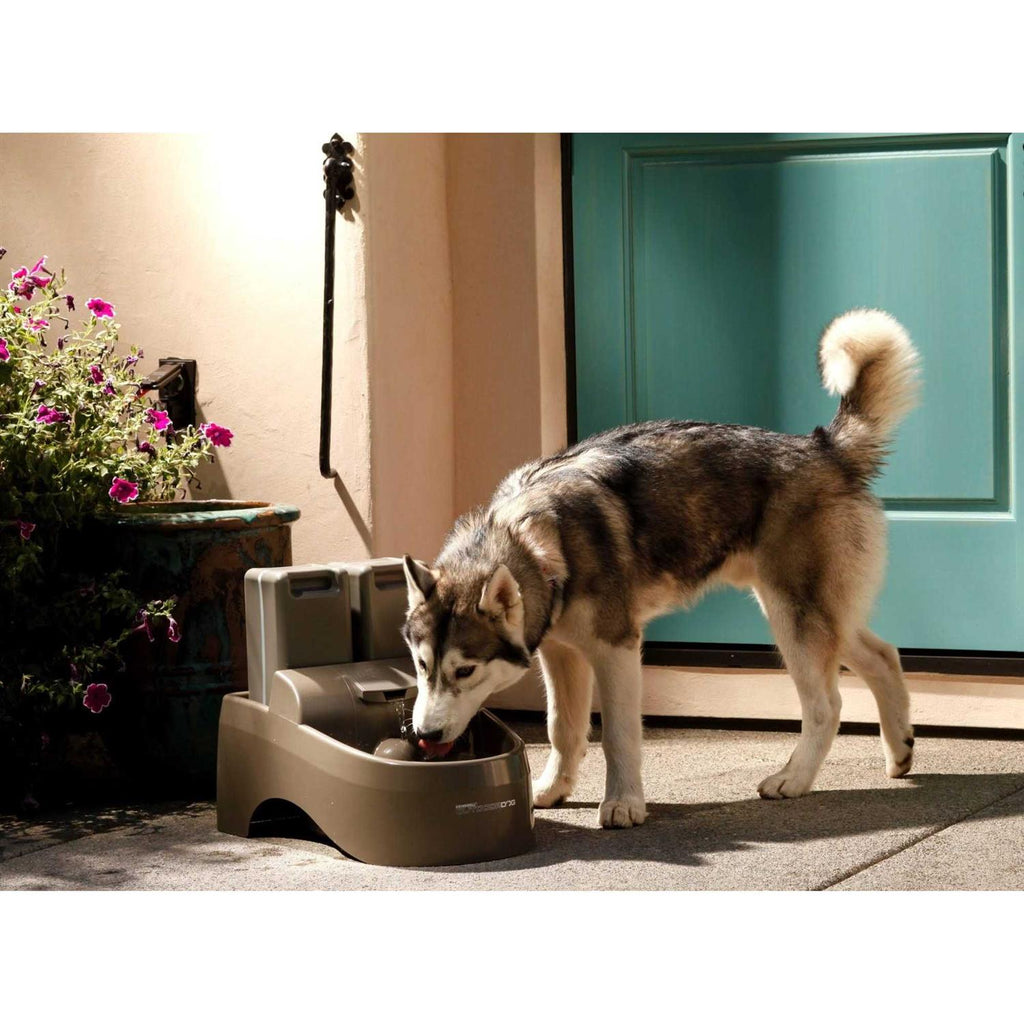 Outdoor Dog Fountain Q149