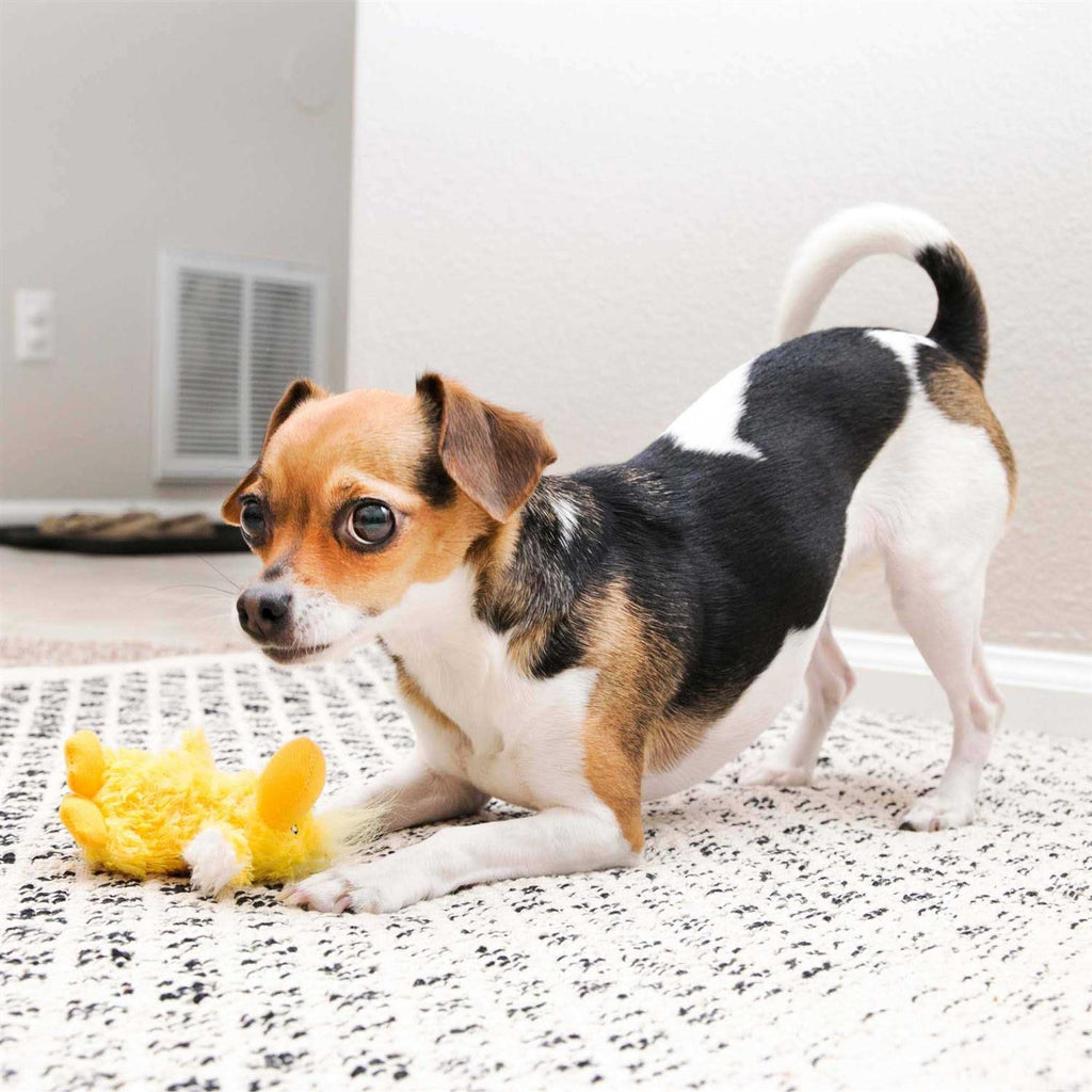 Duck Plush Dog Toy D6511