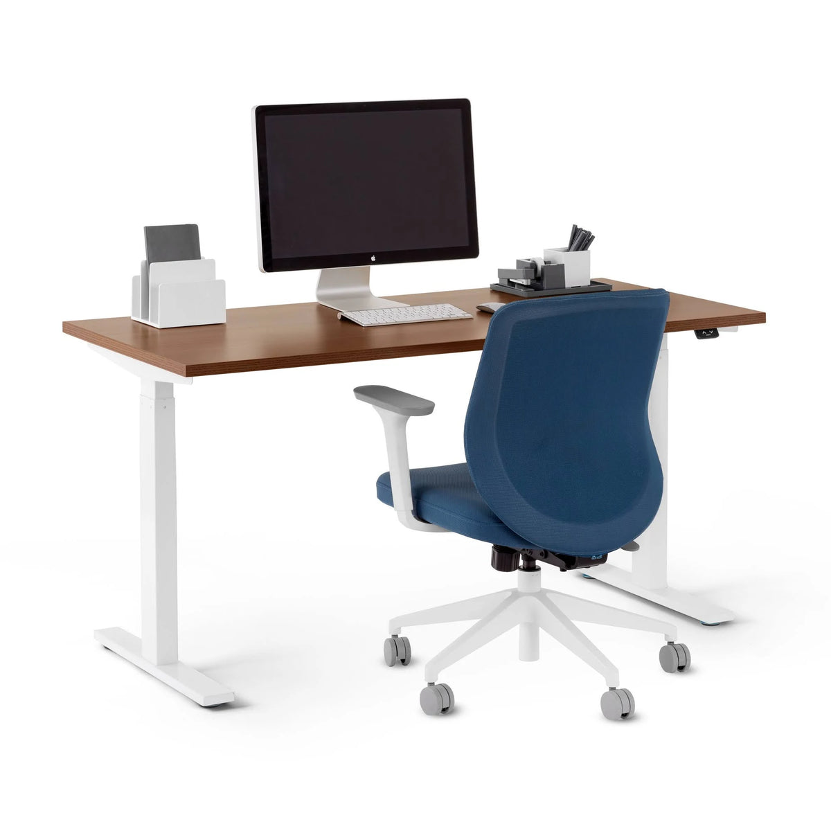 Walnut Adjustable Height Sit-Stand Single Desk U59671