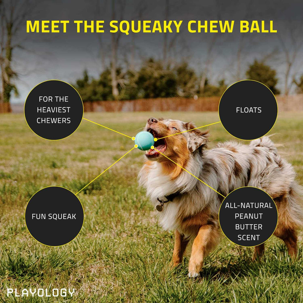Squeaky Chew Ball Dog Toy U7631