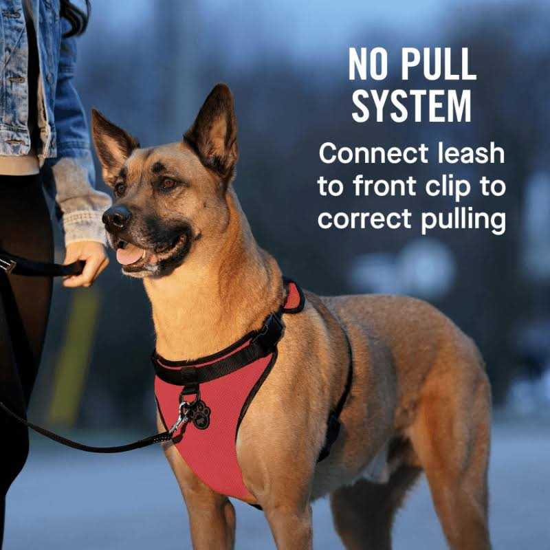 Dog Harness K8677