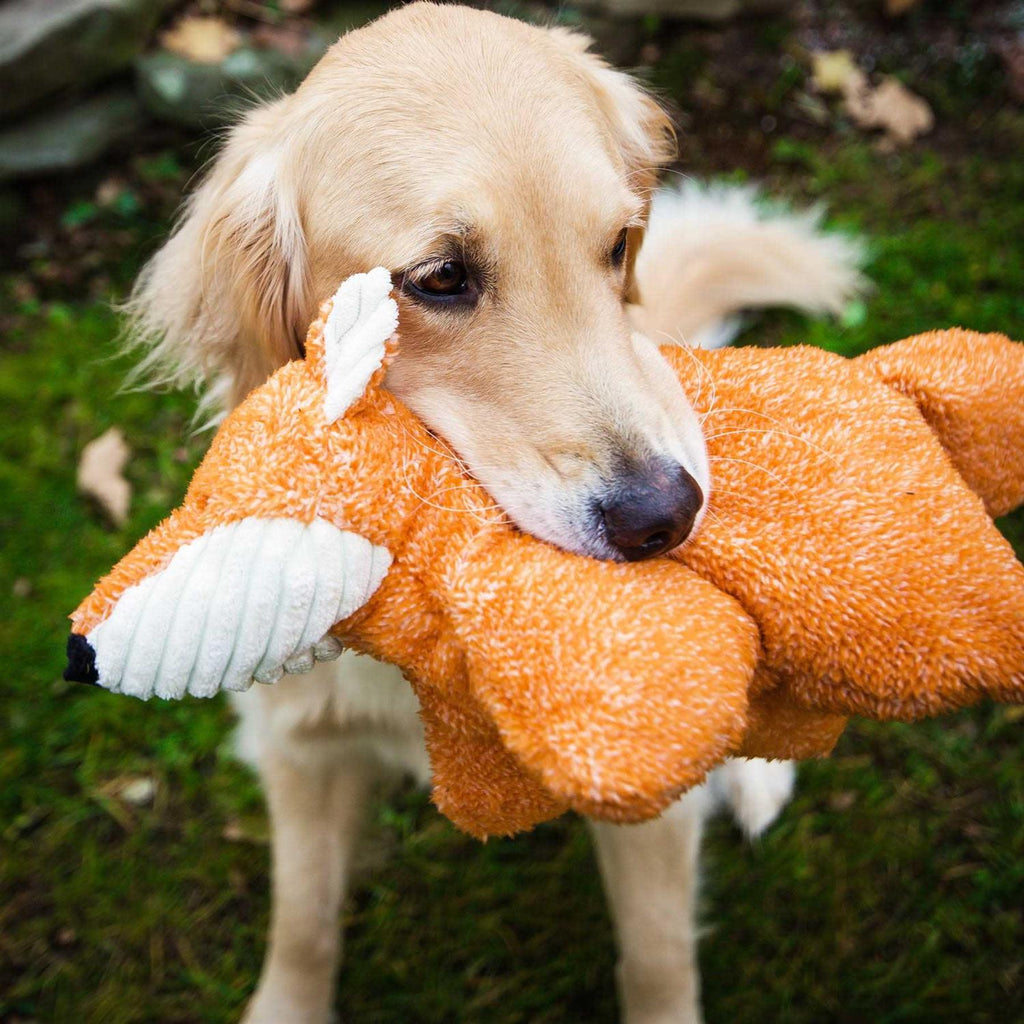 Plush Dog Toy E23749