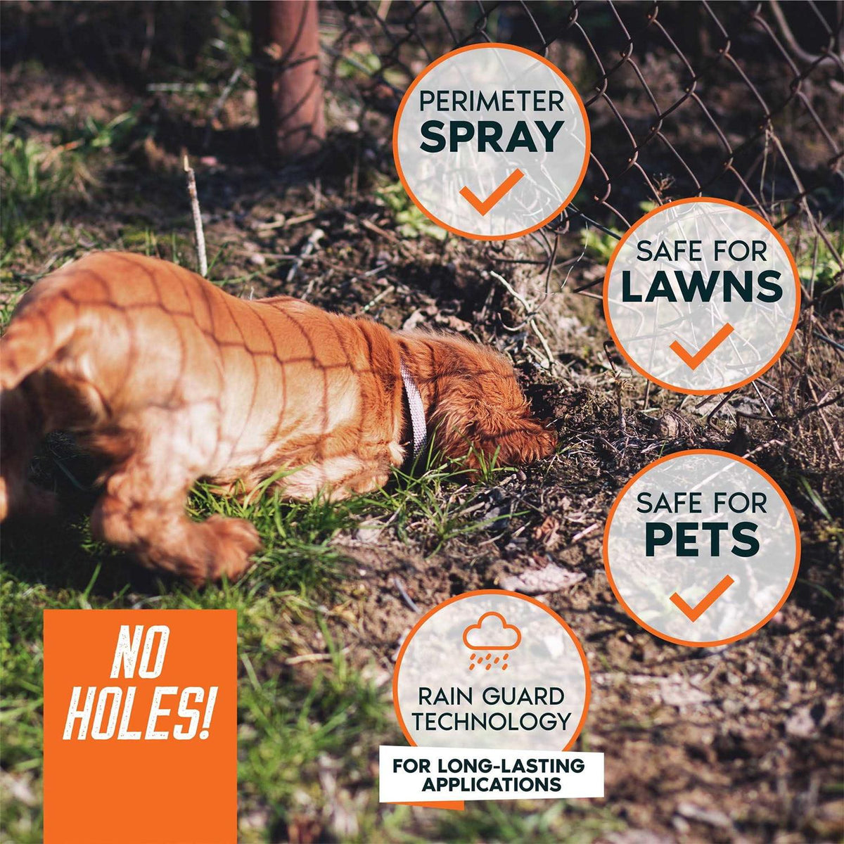 Digging Dog Prevention Spray B33623