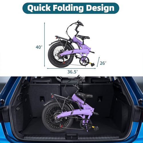 20"×3.0 Fat Tire Folding Electric Bike with 374.4Wh Battery C2391