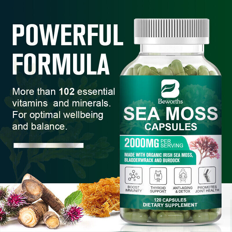 Organic Sea Moss bladder wrack & Burdock Root 120 Capsule Z4225