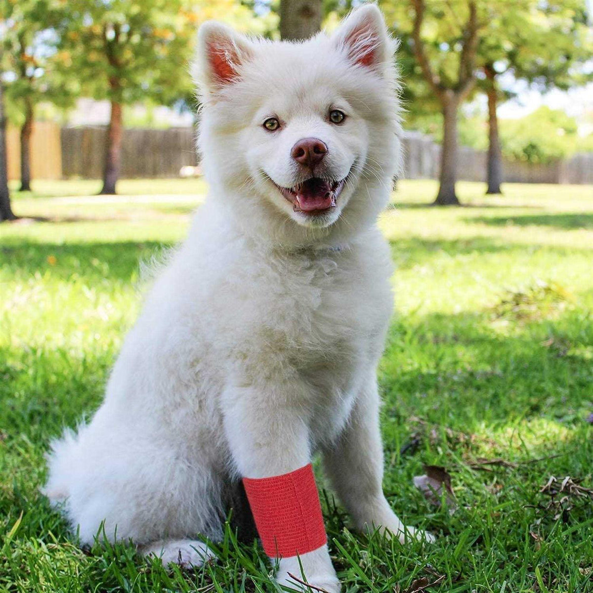 Self Adhesive Bandage Wrap F7566