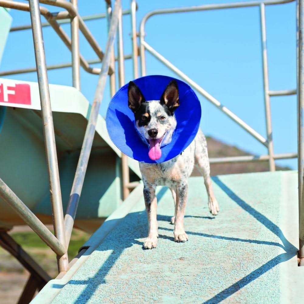 Soft E-Collar K314