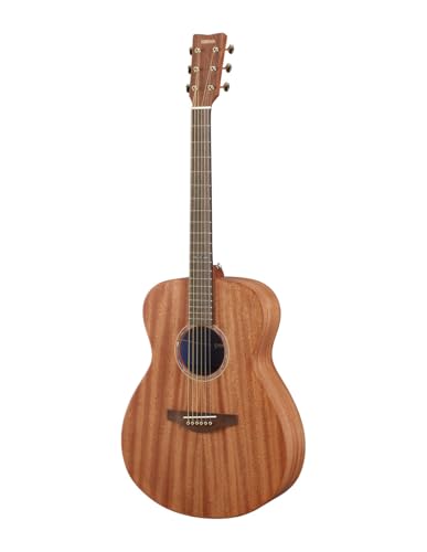 Acoustic Guitar L349351