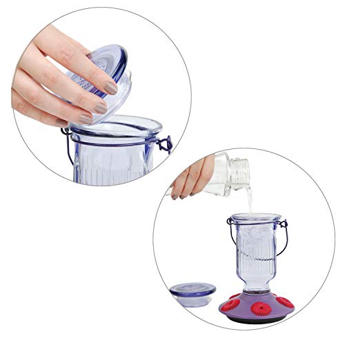 Lavender Field Glass Hummingbird Feeder Purple 16 oz N9787