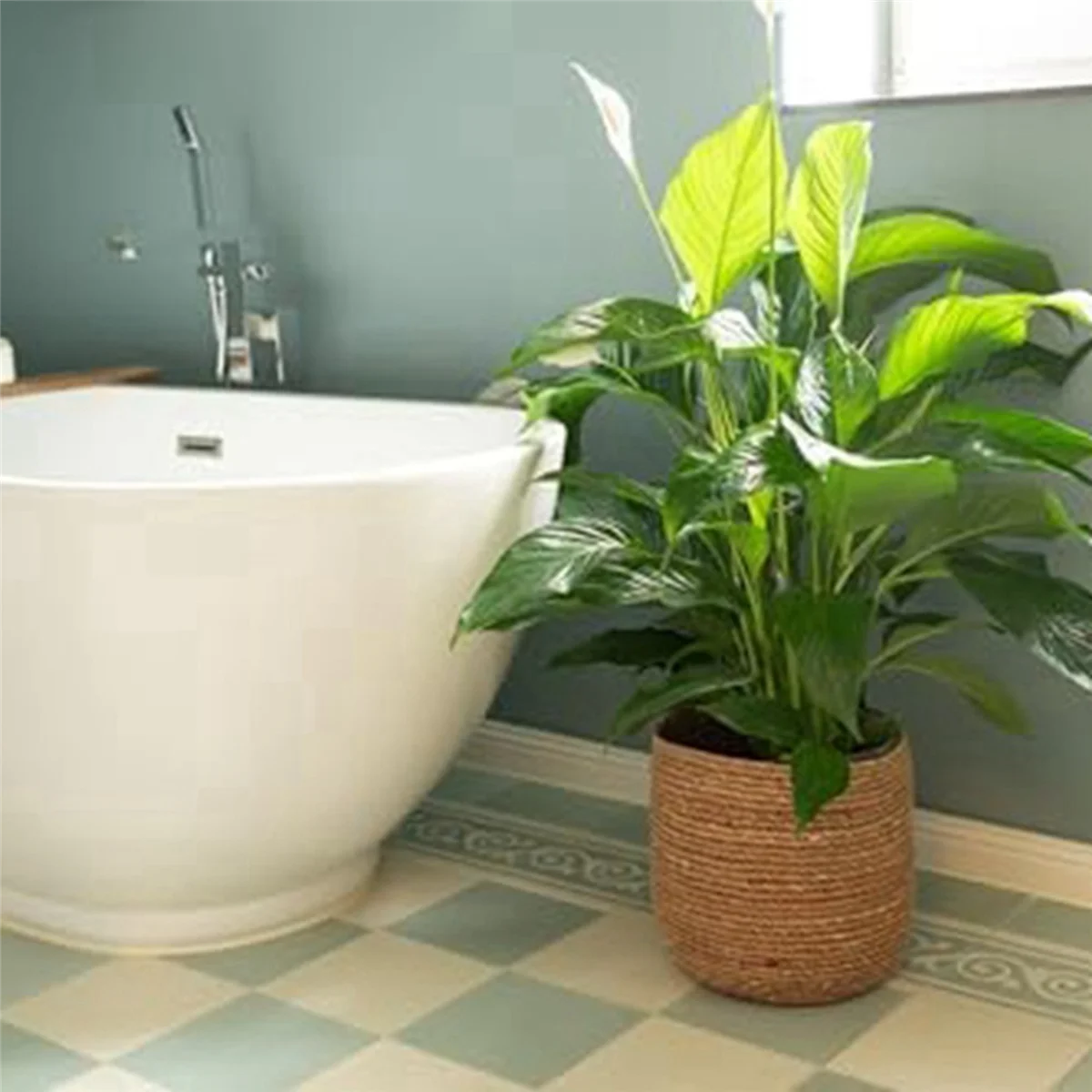 Seagrass Flower Pot - Woven Decorative Basket with Film Insert X4115