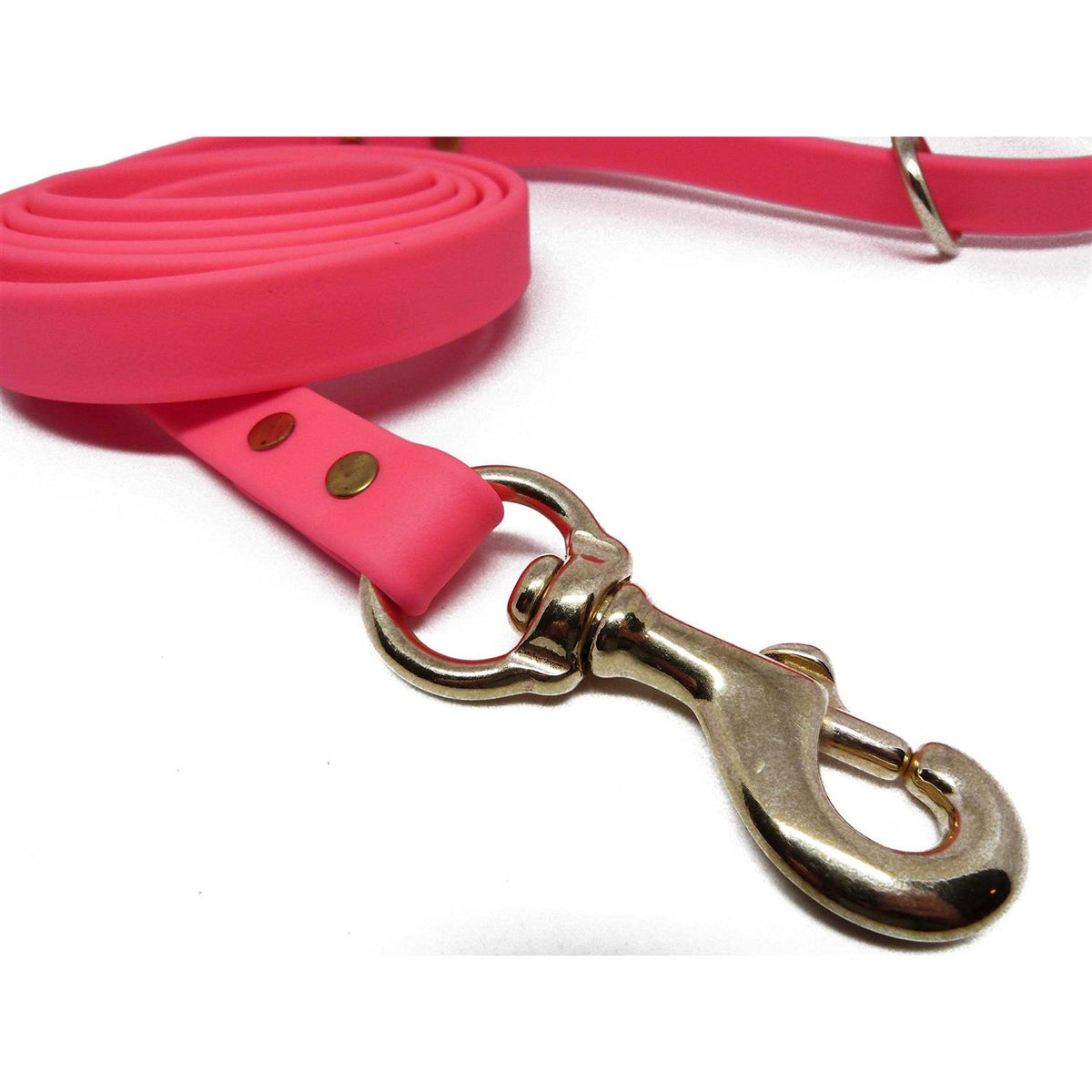 Dog Leash C449