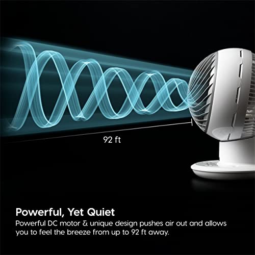 Large Oscillating 8-in-1 Fan with Remote and Timer U5787