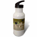 21 oz Sports Water Bottle L204