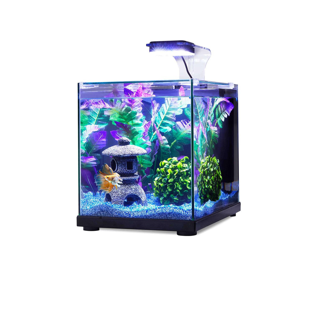 Glass Aquarium J491108