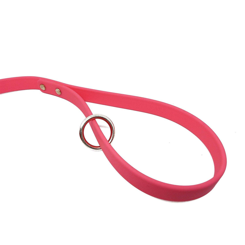 Dog Leash C449