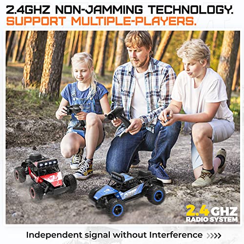 1:14 Scale 2WD Remote Control RC Car Truck with Two Rechargeable Batteries C456