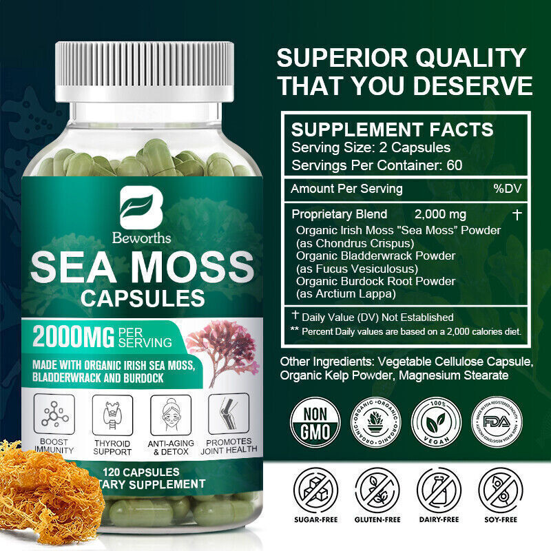 Organic Sea Moss bladder wrack & Burdock Root 120 Capsule Z4225