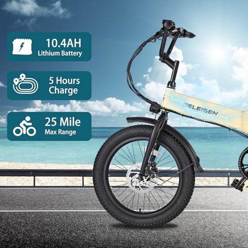 20"×3.0 Fat Tire Folding Electric Bike with 374.4Wh Battery C2391