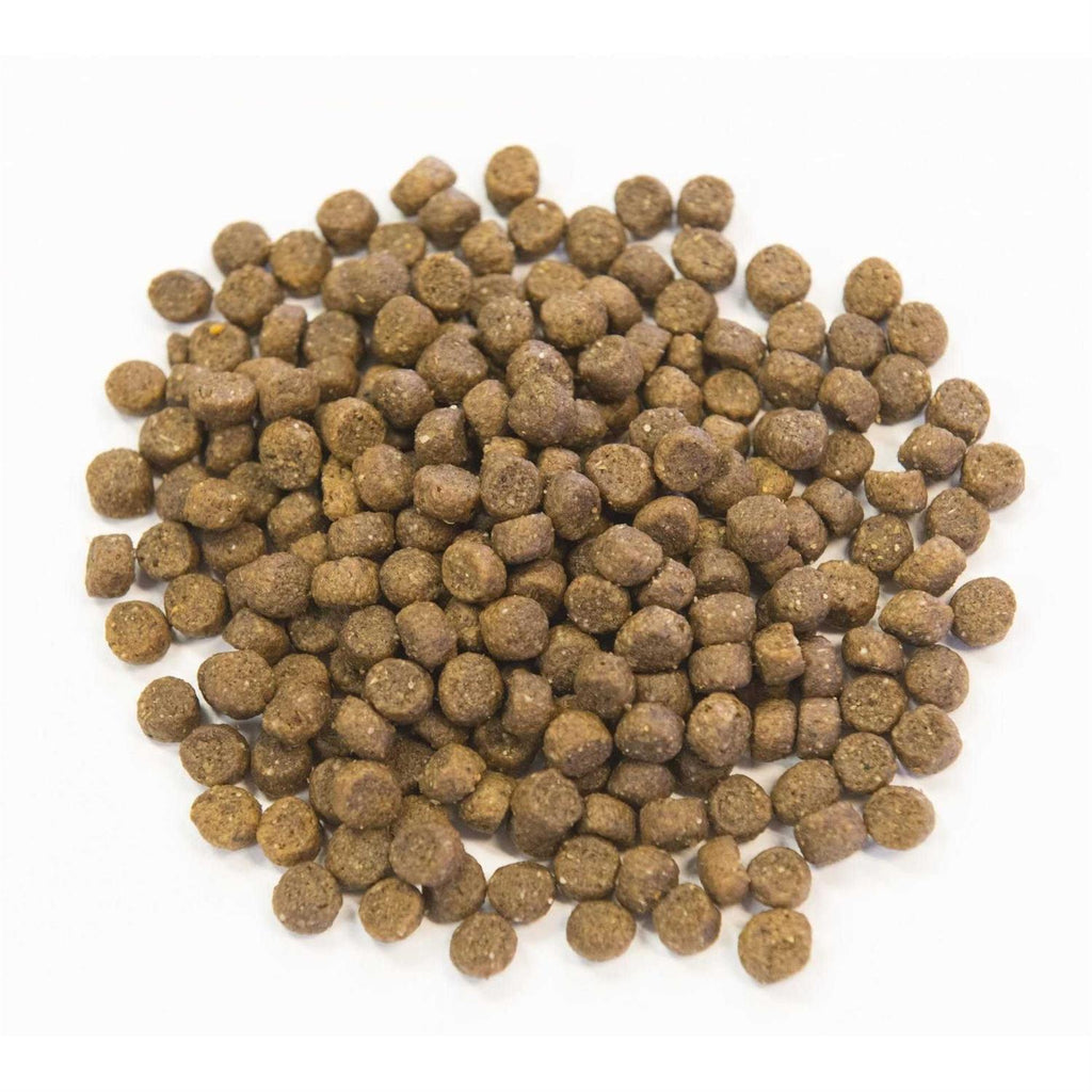 Ancient Grains with Chicken Dog Food C690737