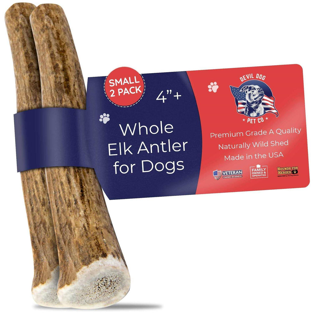 Elk Antler Dog Chew H795