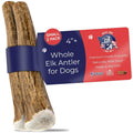 Elk Antler Dog Chew H795