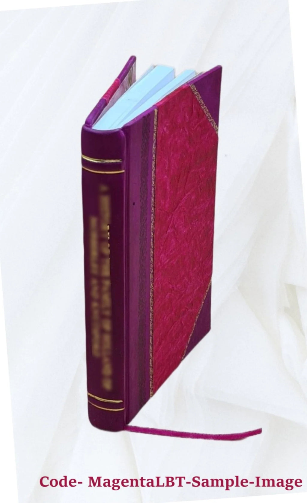 Robbie Doo : his reminiscences. 1914 [Leather Bound] L565895