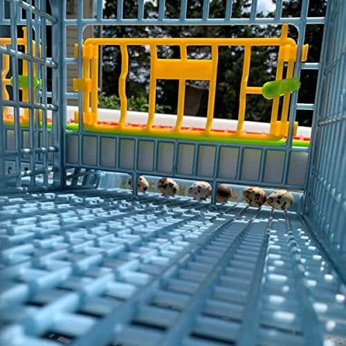 2 Layer ABS Plastic Quail Cage Z1691