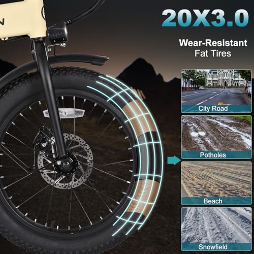 20"×3.0 Fat Tire Folding Electric Bike with 374.4Wh Battery C2391