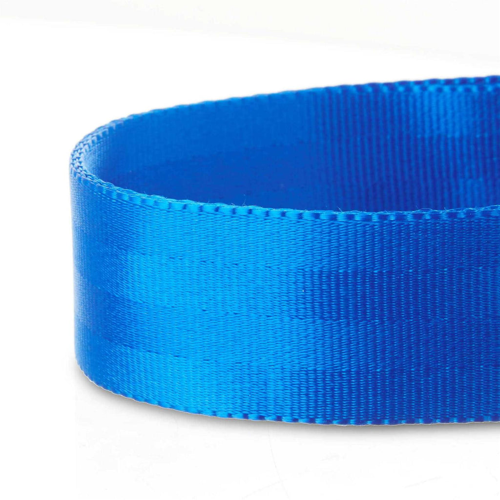 Solid Dog Collar with Metal Buckle F715