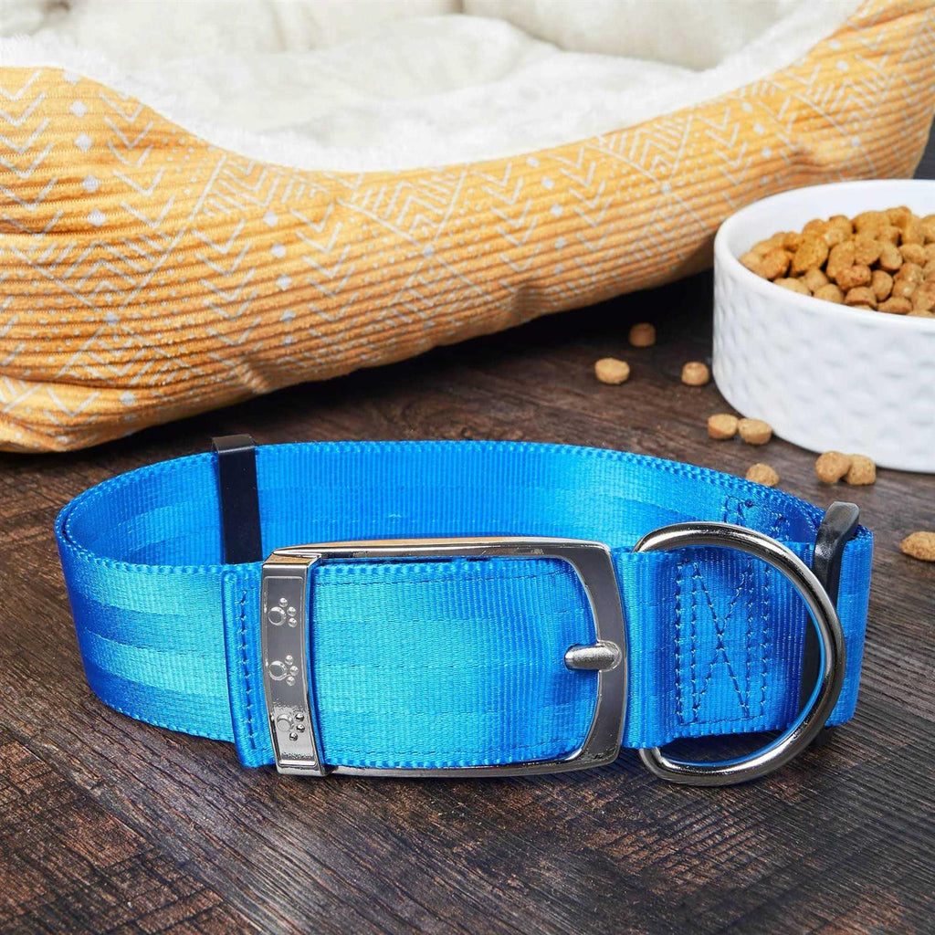 Solid Dog Collar with Metal Buckle F715