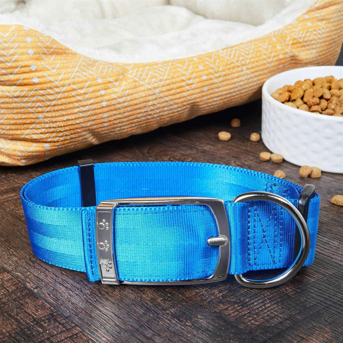 Solid Dog Collar with Metal Buckle F715