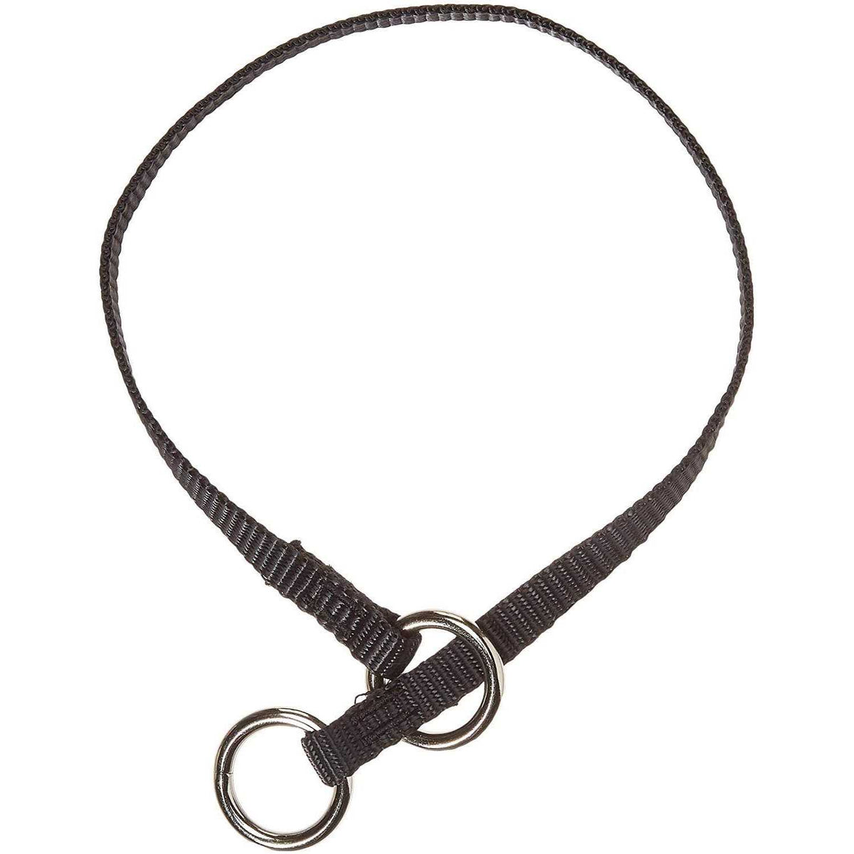 Training Collar M320508