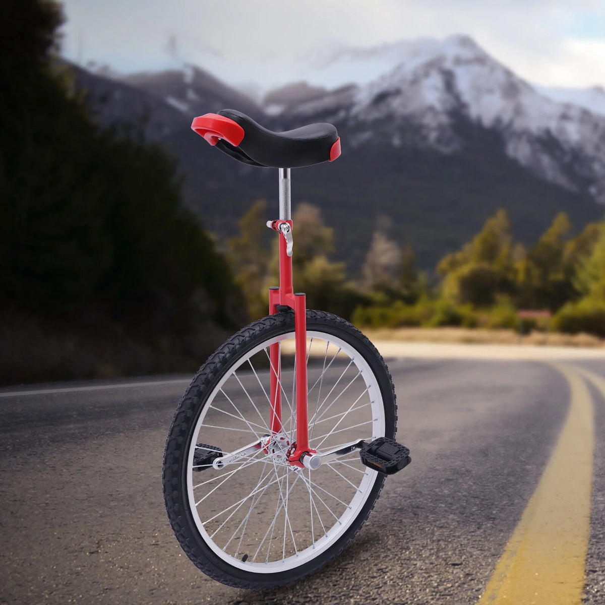 24 Wheel Unicycle N97935