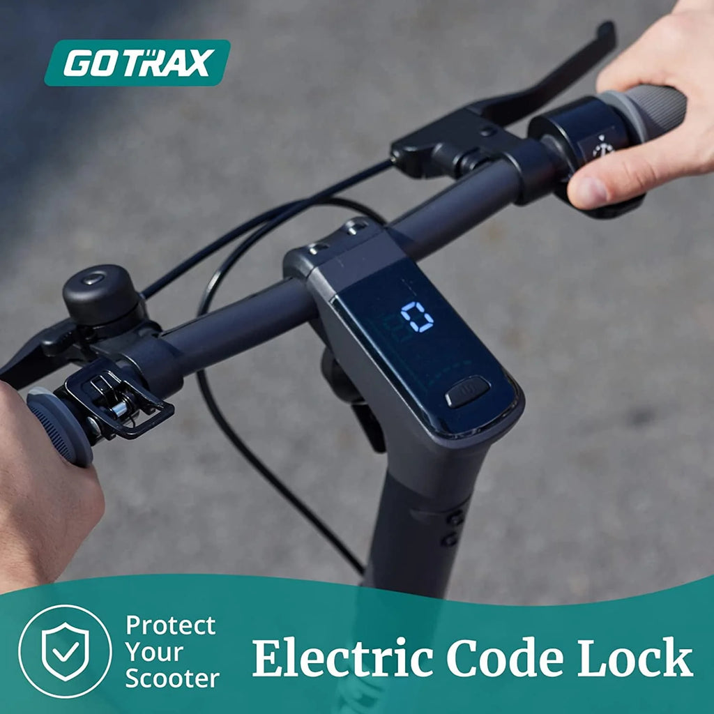 500W Electric Scooter with 10 Air-Filled Tires P5379