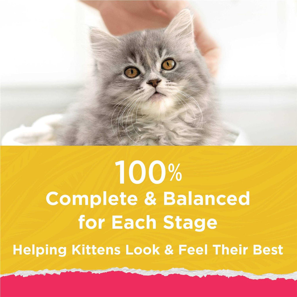 High Protein Kitten Cat Food with Added Vitamins P83216
