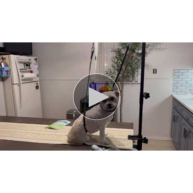 Adjustable Pet Grooming Table Arm with Clamp B273454