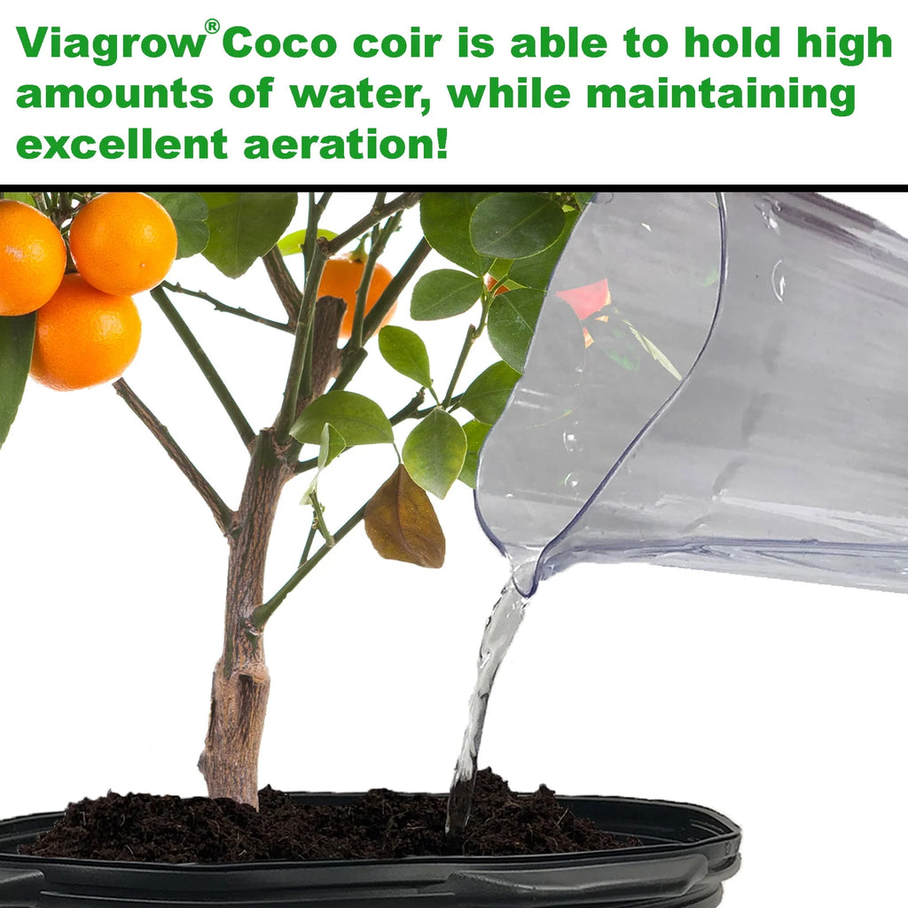 11 lb. Coconut Coir Block O1818