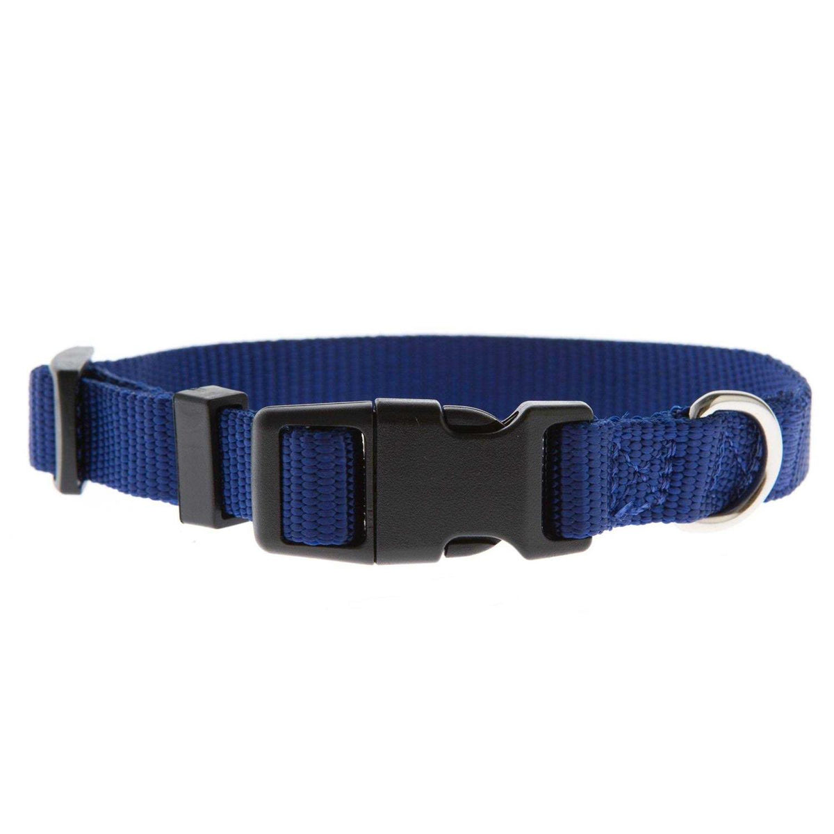 Dog Collar L57831