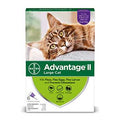 6 Treatment Cats Flea Treatment N603